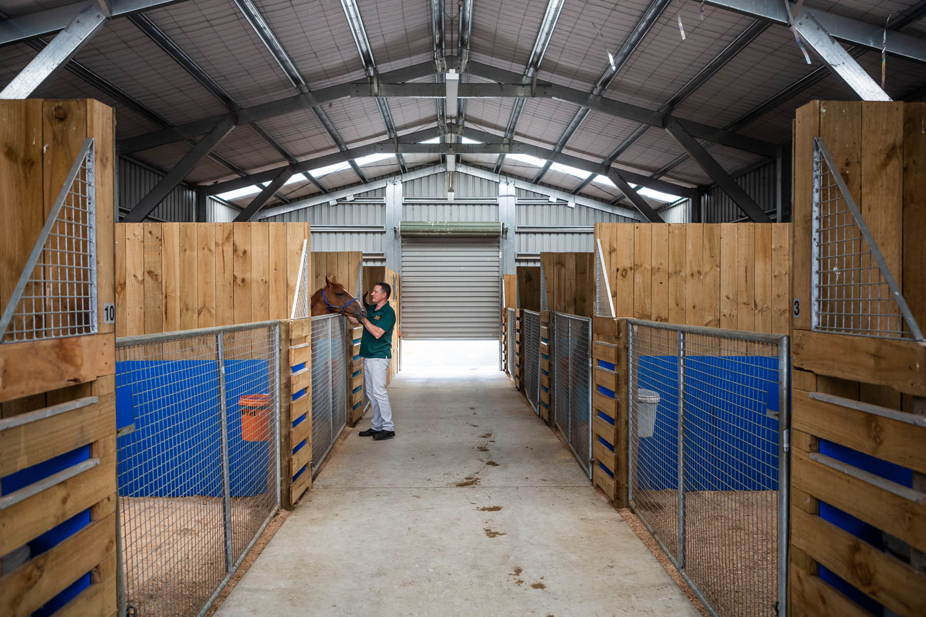 Best Practice Book Horse Transport Online Majestic Horse Floats